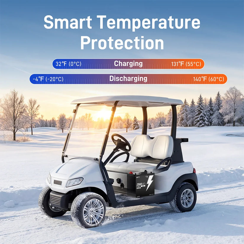 WattCycle 48V 50Ah Bluetooth LiFePO₄ Battery with 100A BMS – For Golf Carts & Ride-On Mowers