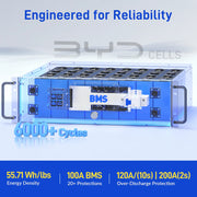 Local Pickup WattCycle V2 48V 100Ah LiFePO₄ Rack Battery – Active Balancing | LCD | Bluetooth | Smart Comms