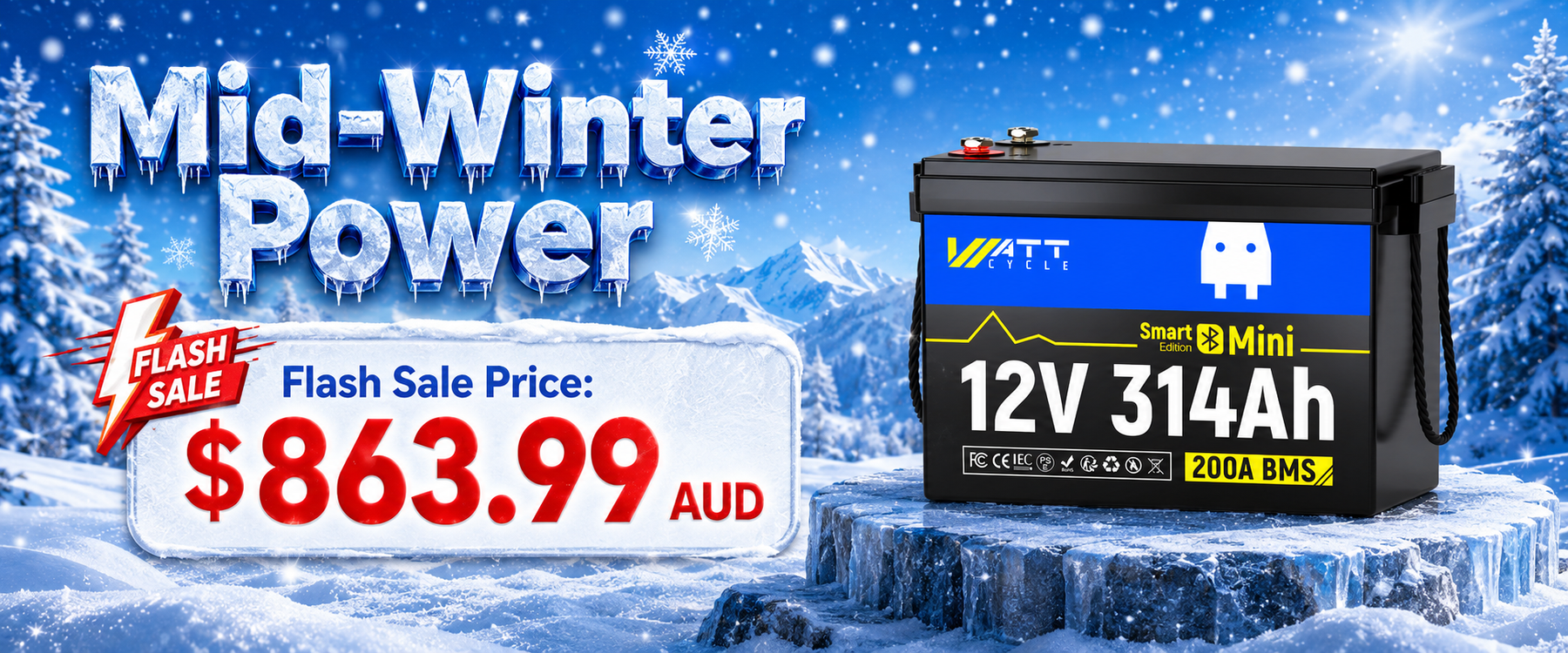 Mid-Winter Power Flash Sale
