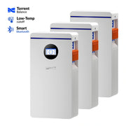 Local Pickup WattCycle 16kWh 48V 314Ah Wall-Mount Bluetooth LiFePO4
